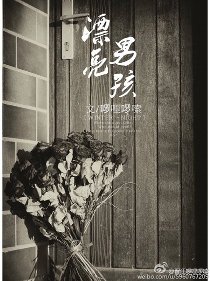 漂亮男孩