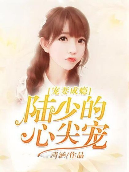 宠妻成瘾：陆少的心尖宠