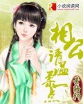 相公,请温柔一点