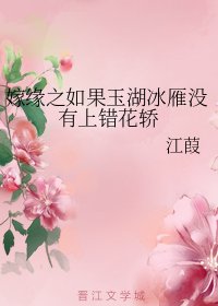 （上錯花轎嫁對郎同人）嫁緣之如果玉湖冰雁沒有上錯花轎