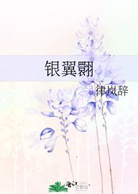 银翼翾