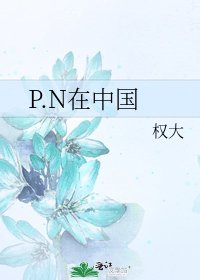P.N在中国