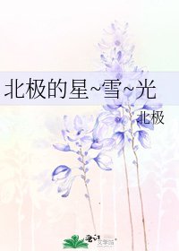 北極的星~雪~光