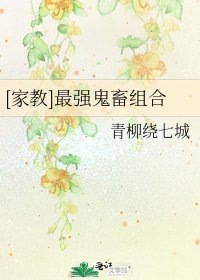 [家教]最强鬼畜组合