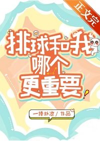 (综漫同人)我和排球哪个更重要?