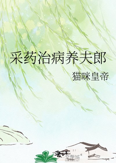 采药治病养夫郎