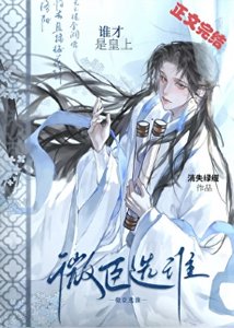 微臣选谁谁才是皇上