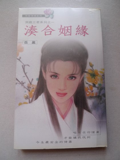 凑合姻缘（洞庭三君系列之一）