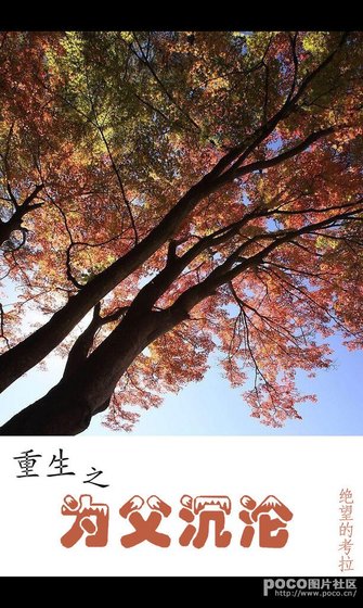 重生之为父沉沦